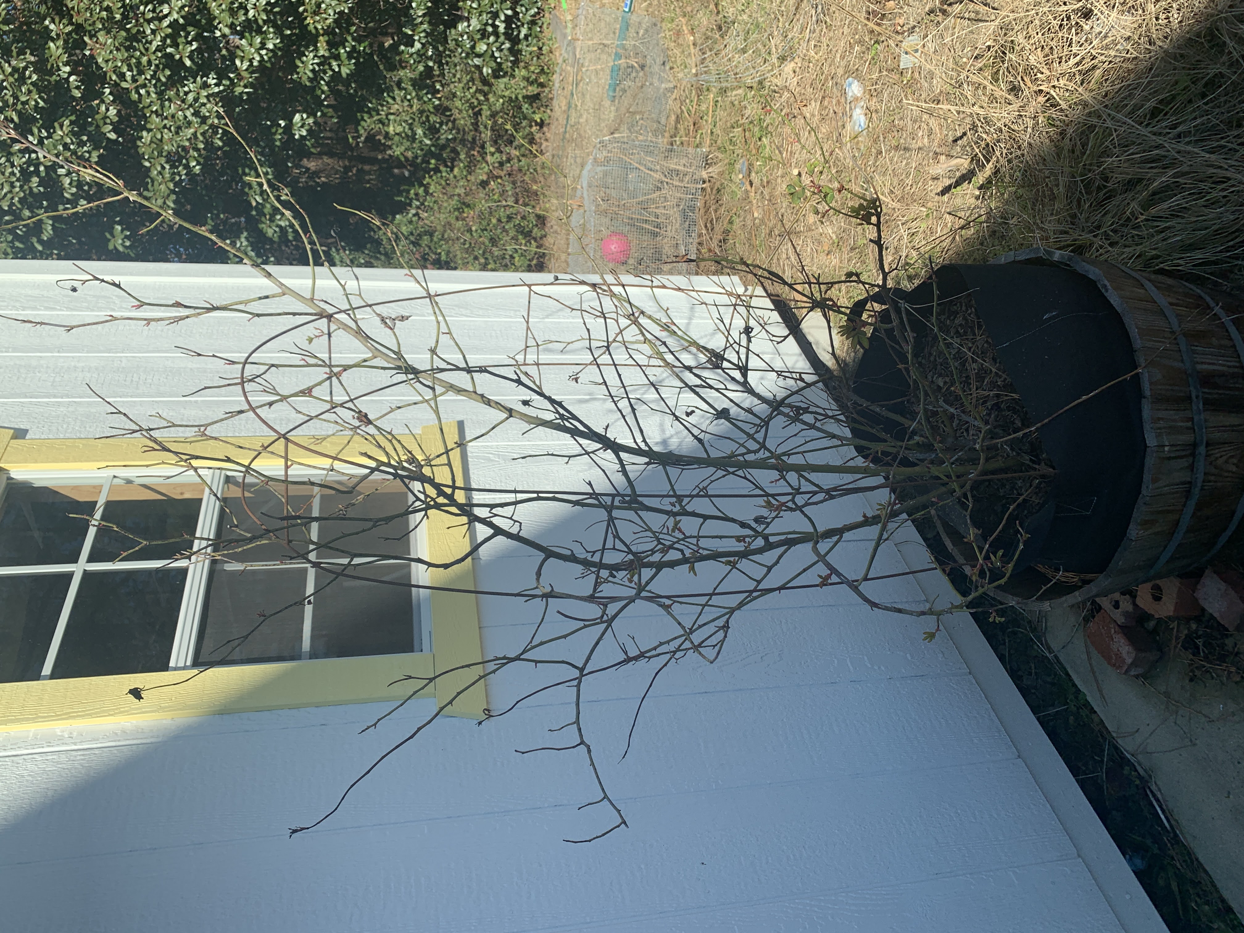 Winter Work